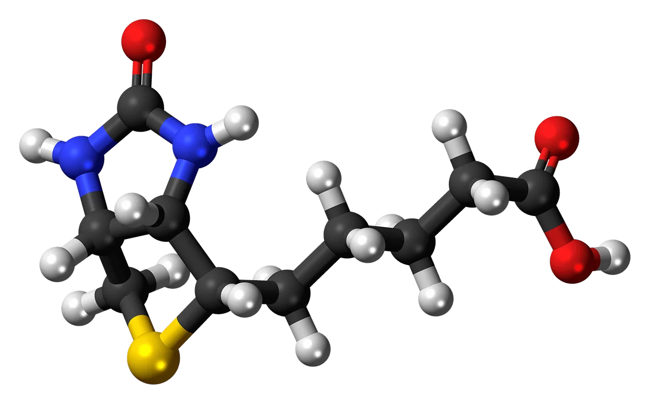 molecula de biotina